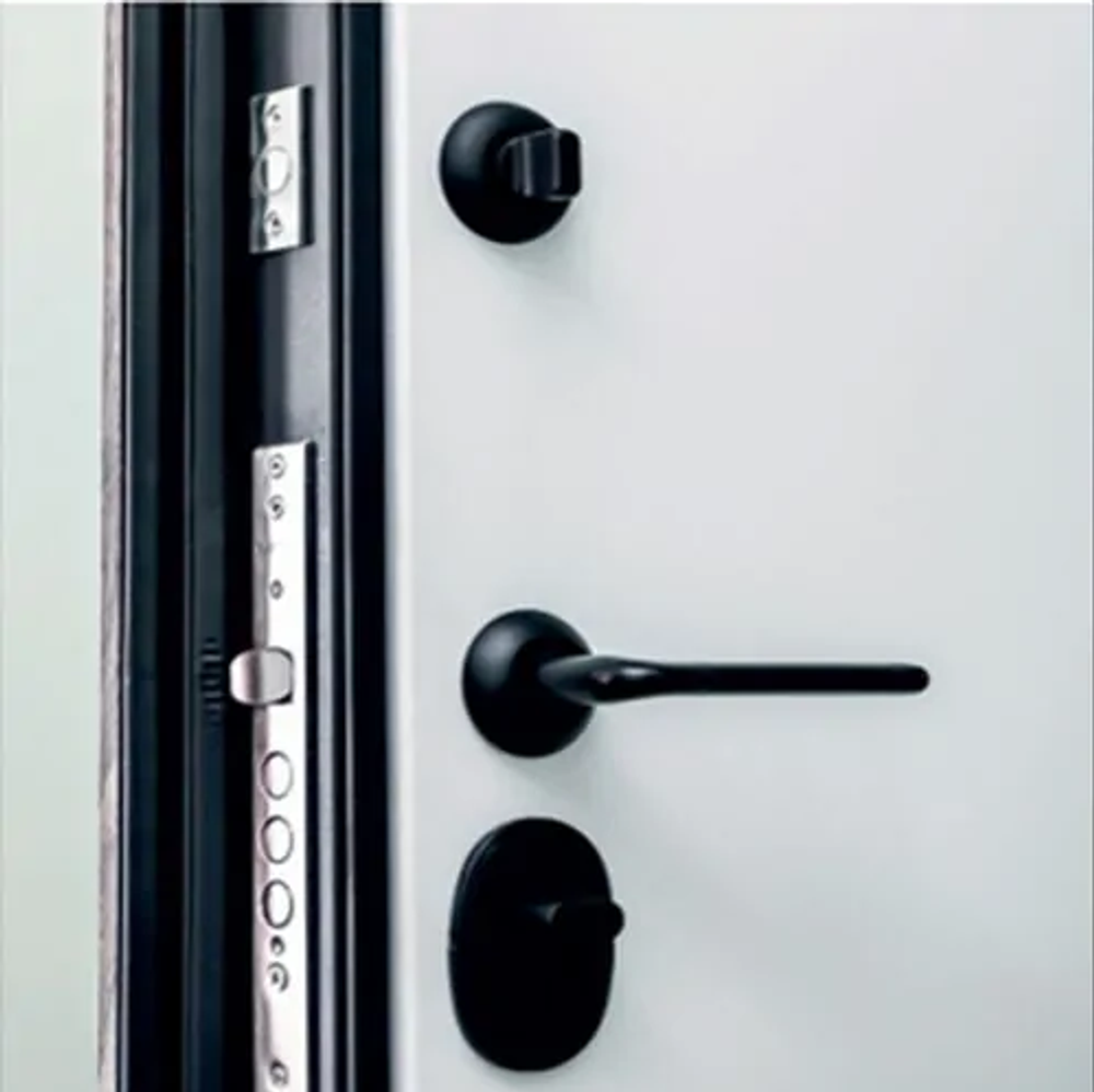 Сейф дверь ВФД MONO Carbon/MAXI Mirror Ice