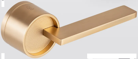 Ручка Radiant F33Z85-MG Матовое золото